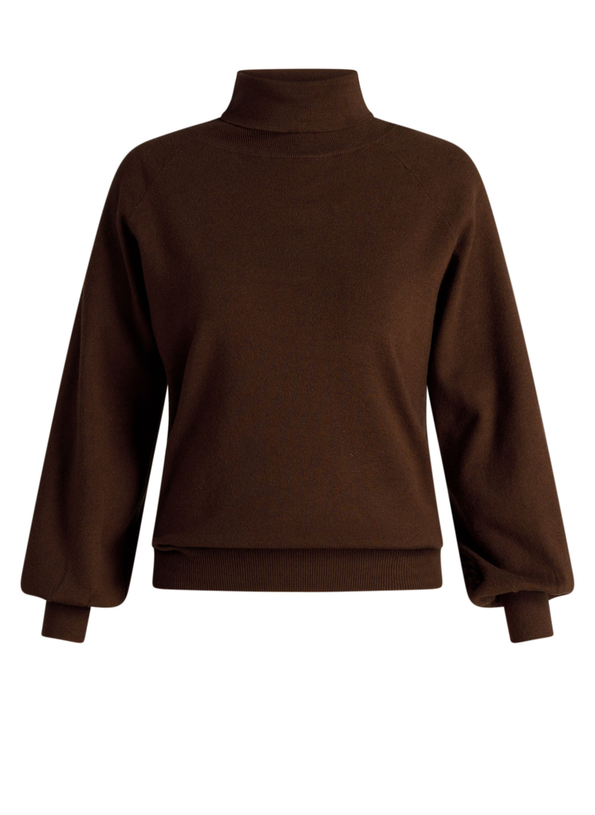 Ivy Beau Kato Turtle Neck